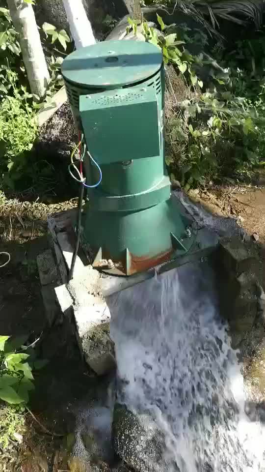 Mini Hydro Generator 10kw Hydraulic Micro Turbines Hydropower Plant