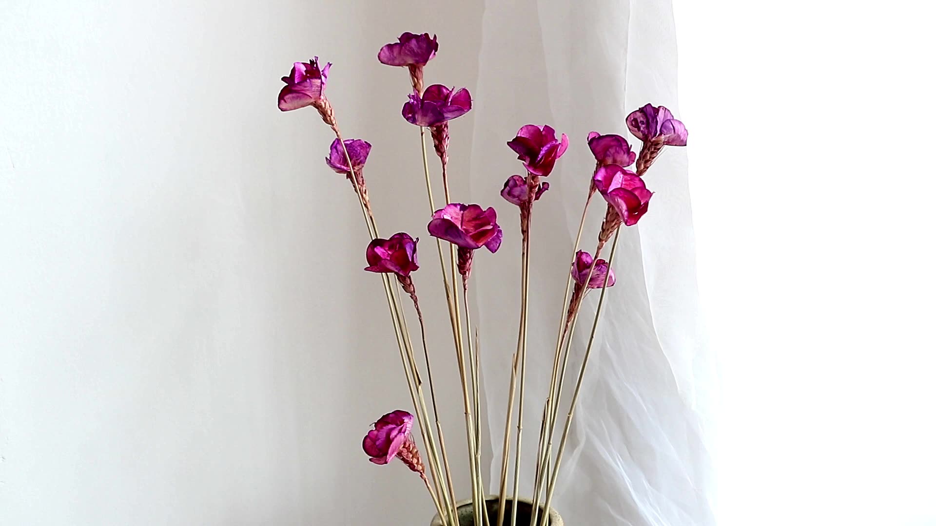 Yunan Flower Dried Real Preserved Yingtai Flower For Decor Buy