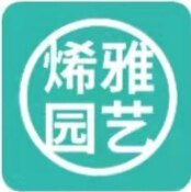 上海烯雅绿植同城配送