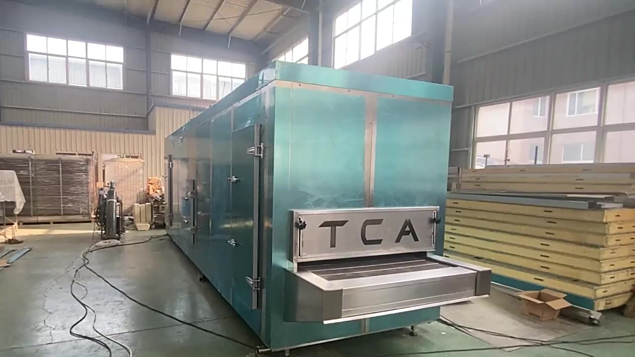 Iqf (individual Quick Freezer) Blast / Fast Fluidized / Spiral / Tunnel
