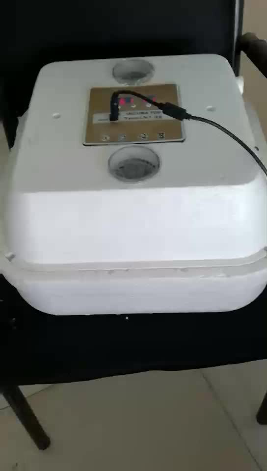 Foam High Hatching Machine Good Quality Chicken Brooder ...