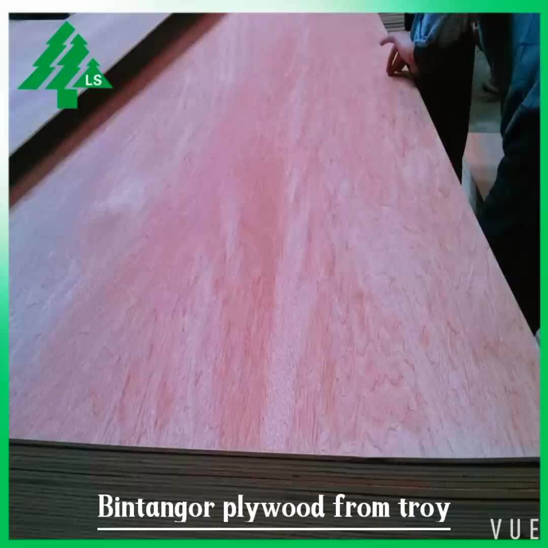 5mm Plywood Sheet Lawanit Plywood For Philippine Buy Plywood For