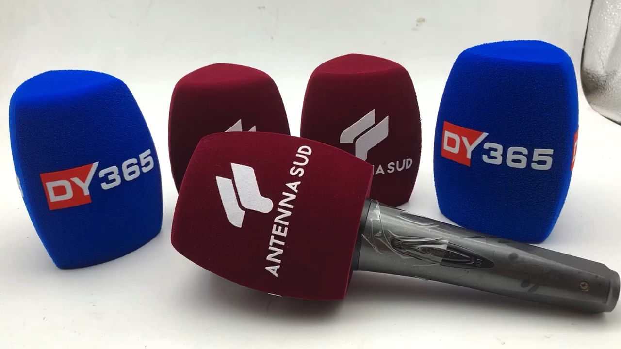 Africa Angola Channel Mic Foam Logo Printing Interview Microphone