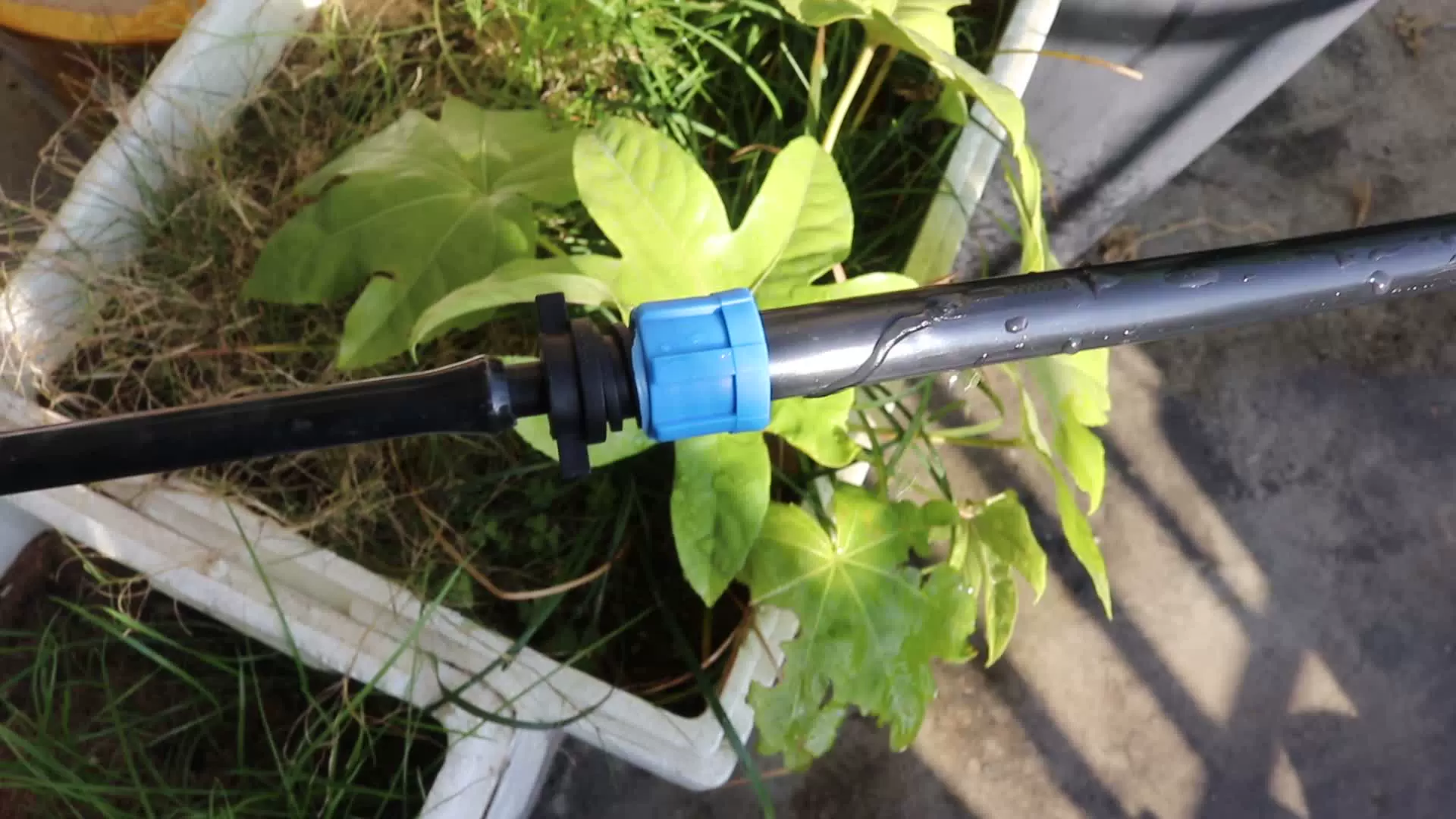 20~100M 16mm Micro Irrigation Drip Tape 1-Hole Space Distance 100~400mm Greenhouse Watering Patch Tape Hose with 1set Connector