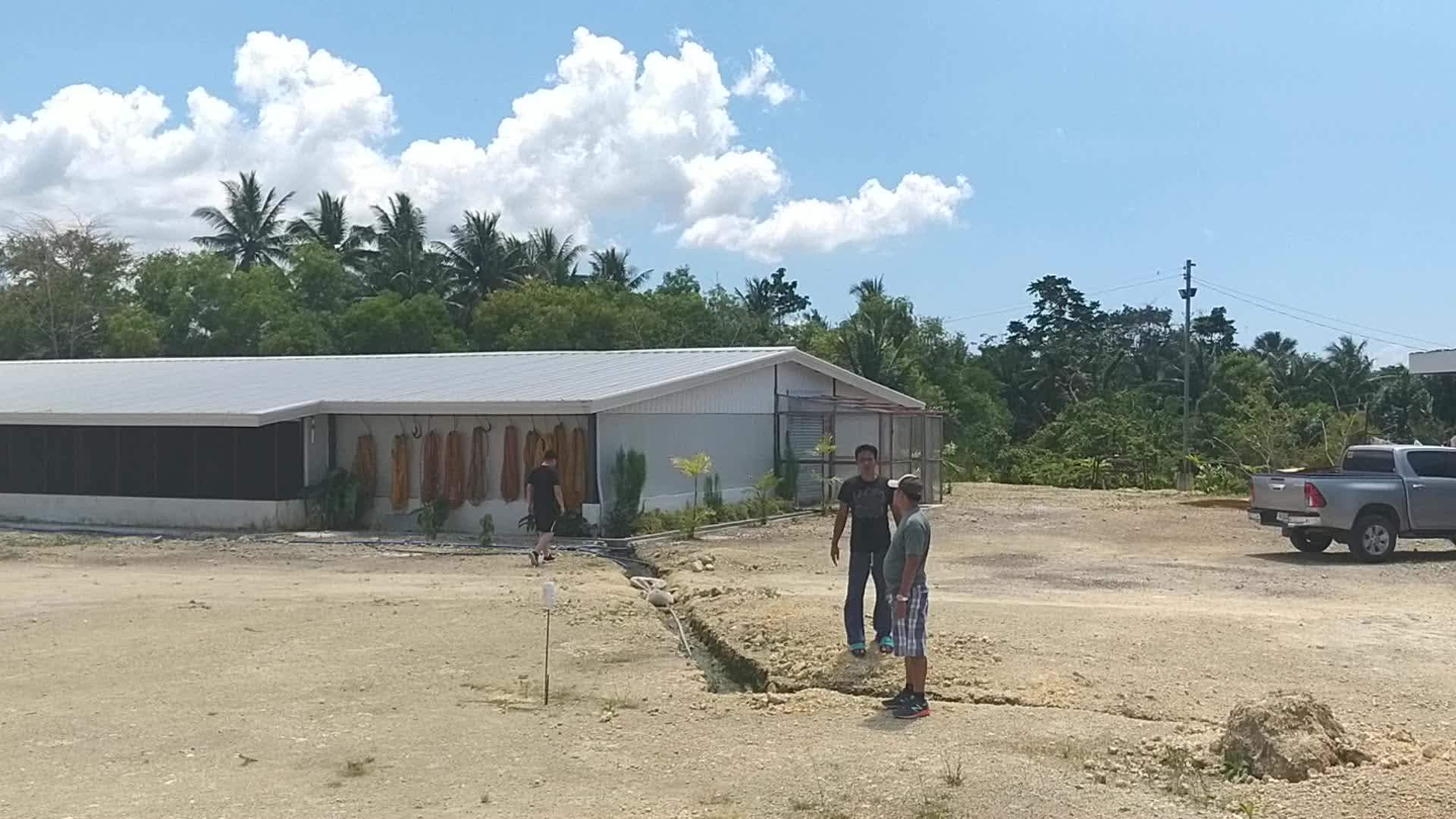 Highrise Steel Structure Building Prefab Warehouse For Poultry House Chicken Farm Plan Design