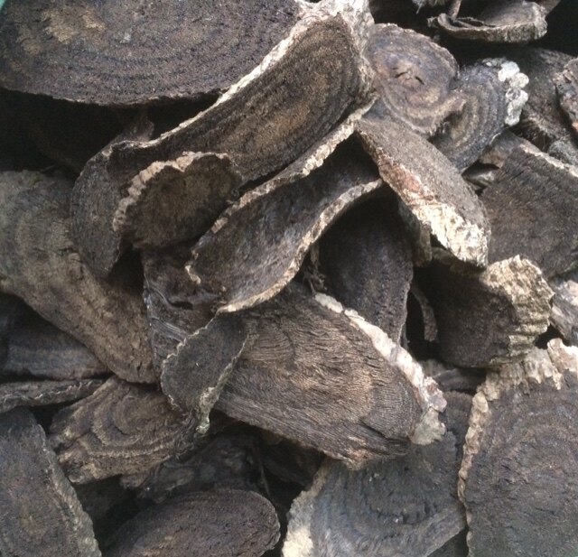 Medicinal herbs wild womens spring root usera root to be worn by root vines Harugeni 500 gr