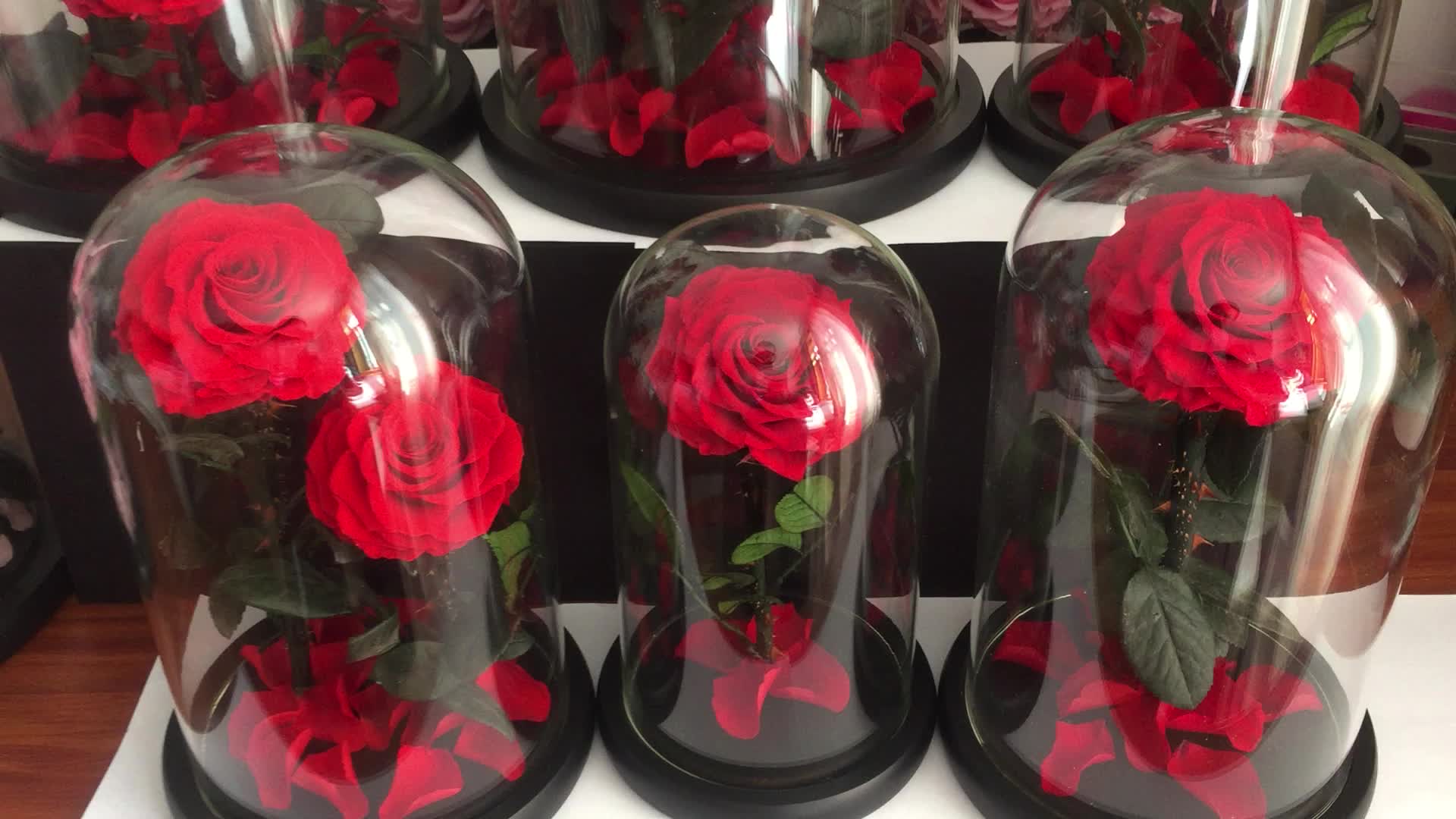 Natural Preserved Rose With Natural Rose Stems In Huge Glass Domes As Home Decoration Buy