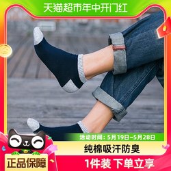 Platinum embroidered Xinjiang cotton socks men's spring and summer socks deodorant moisture-absorbent boat socks business socks mid-calf socks 5 ຄູ່