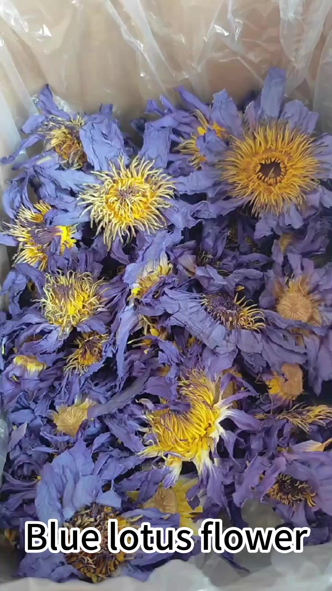 Premium Quality Dried Blue Lotus Flower Tea Herbal Tea Lan Lian Hua