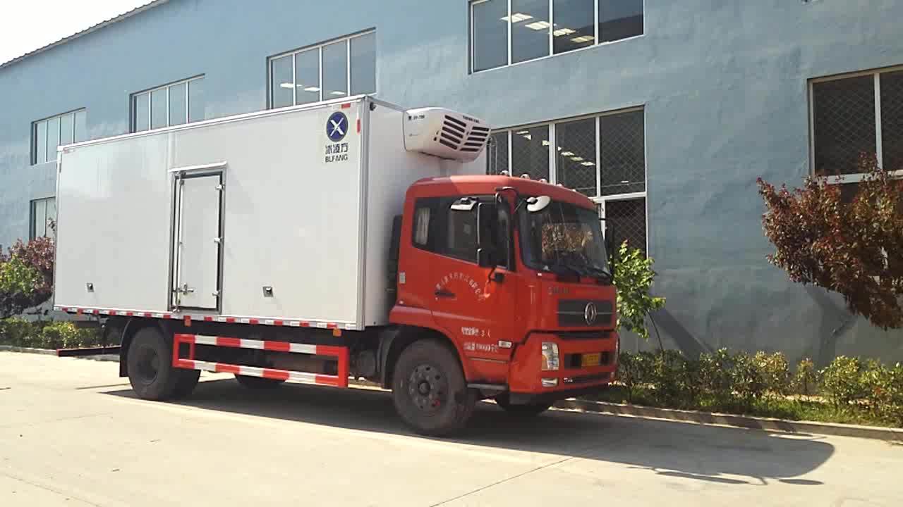 8m 10m Frozen Food Delivery Trucks Sizes With Temperature Controlled