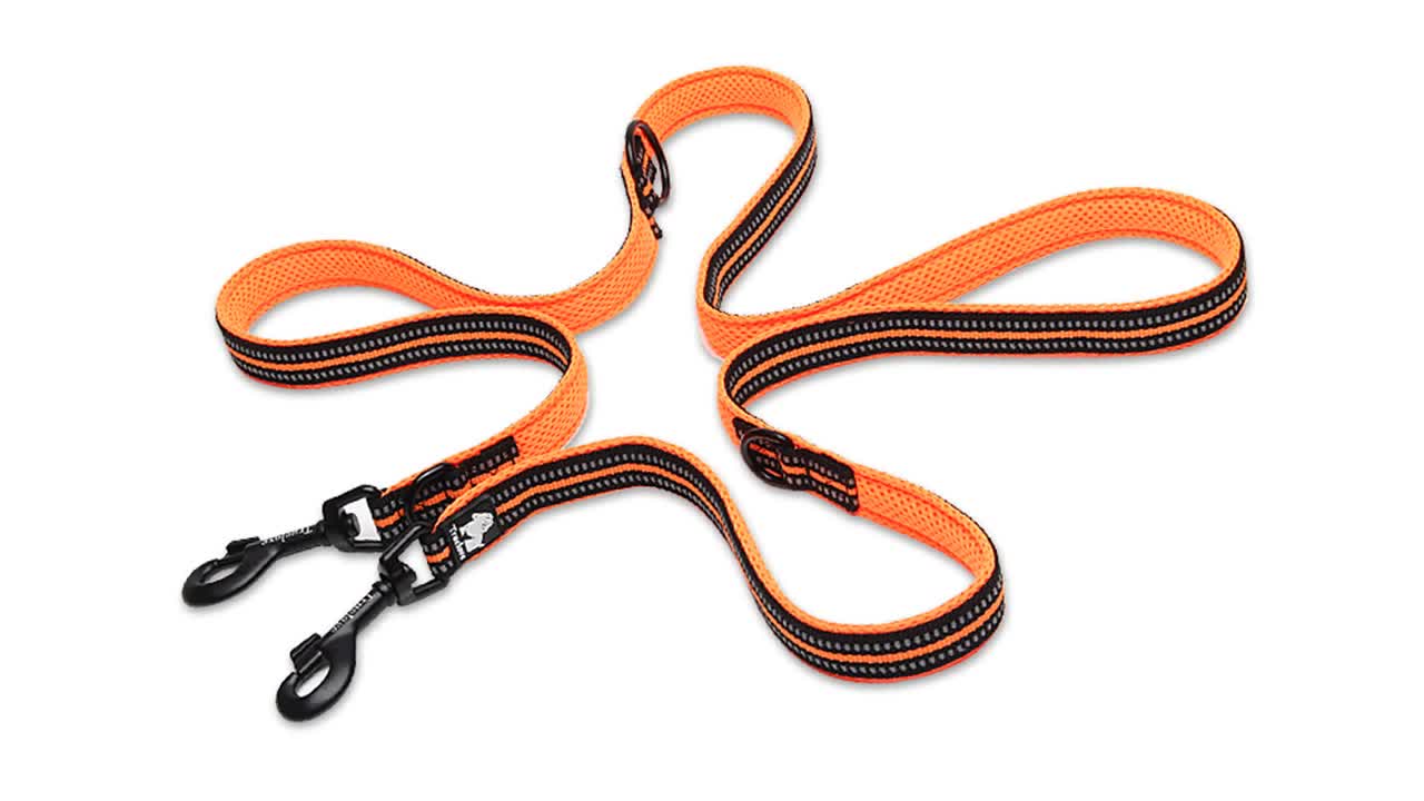 Truelove Multifunction Double Dog Leash Dog Leash Flashlight