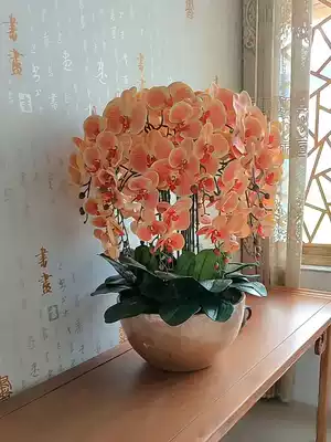 Hejia Phalaenopsis simulation flower set Plastic floral silk flower fake flower pot planting living room decoration dining table Dry flower bouquet