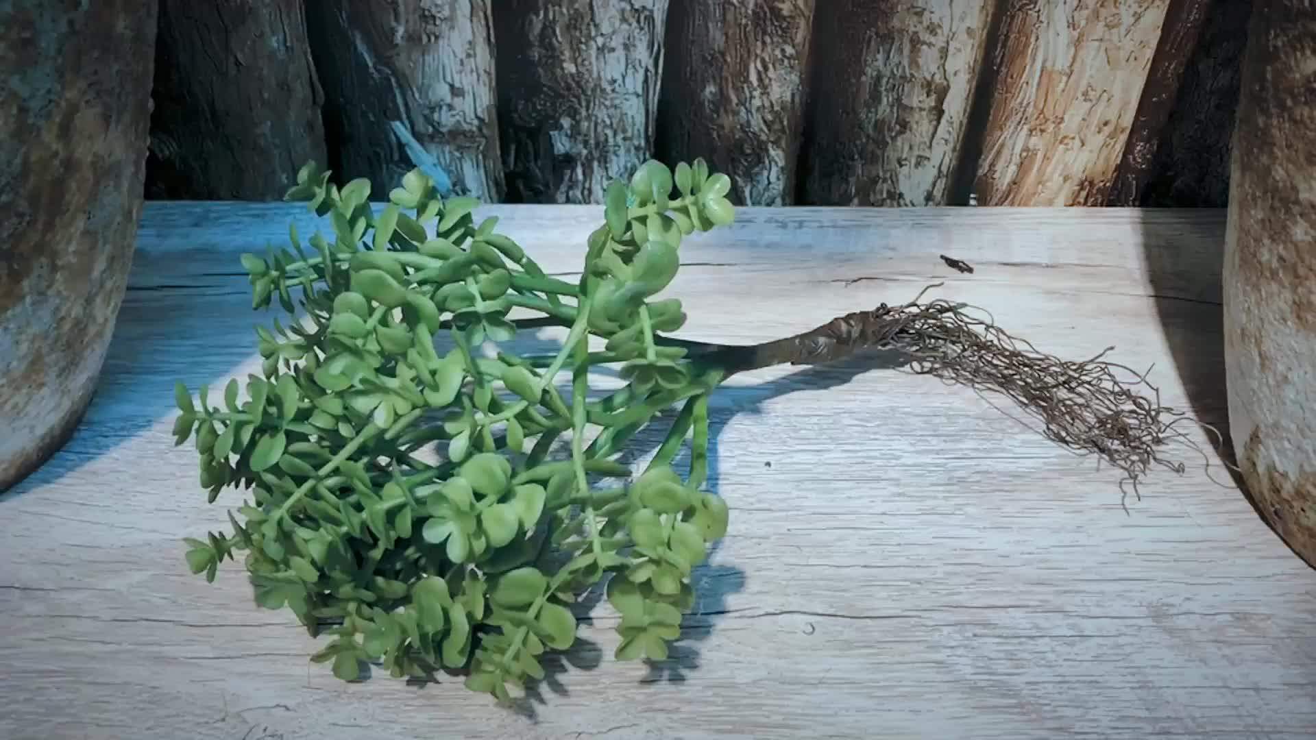 Lotus Decoration Flower Lotus Artificial Plants Lotus With Roots Buy