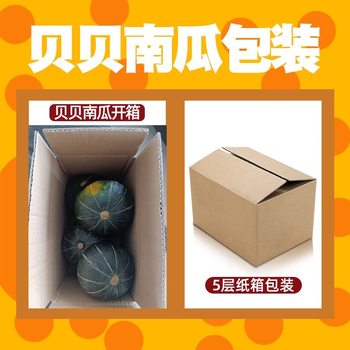 Authentic beibei pumpkin fresh chestnut flavor small pumpkin baby baby food supplement glutinous sweet pumpkin fruits and vegetables