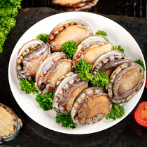 Freshly cooked and frozen large abalone three-step treatment-free fresh frozen shellfish with teeth removed and eviscerated SF Express