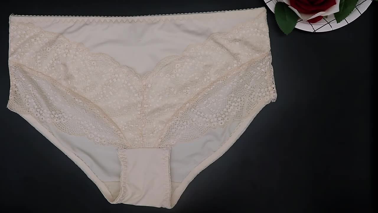 Plus Size Women's Clothing Panty Womans Underwear Lace Panties Seamless