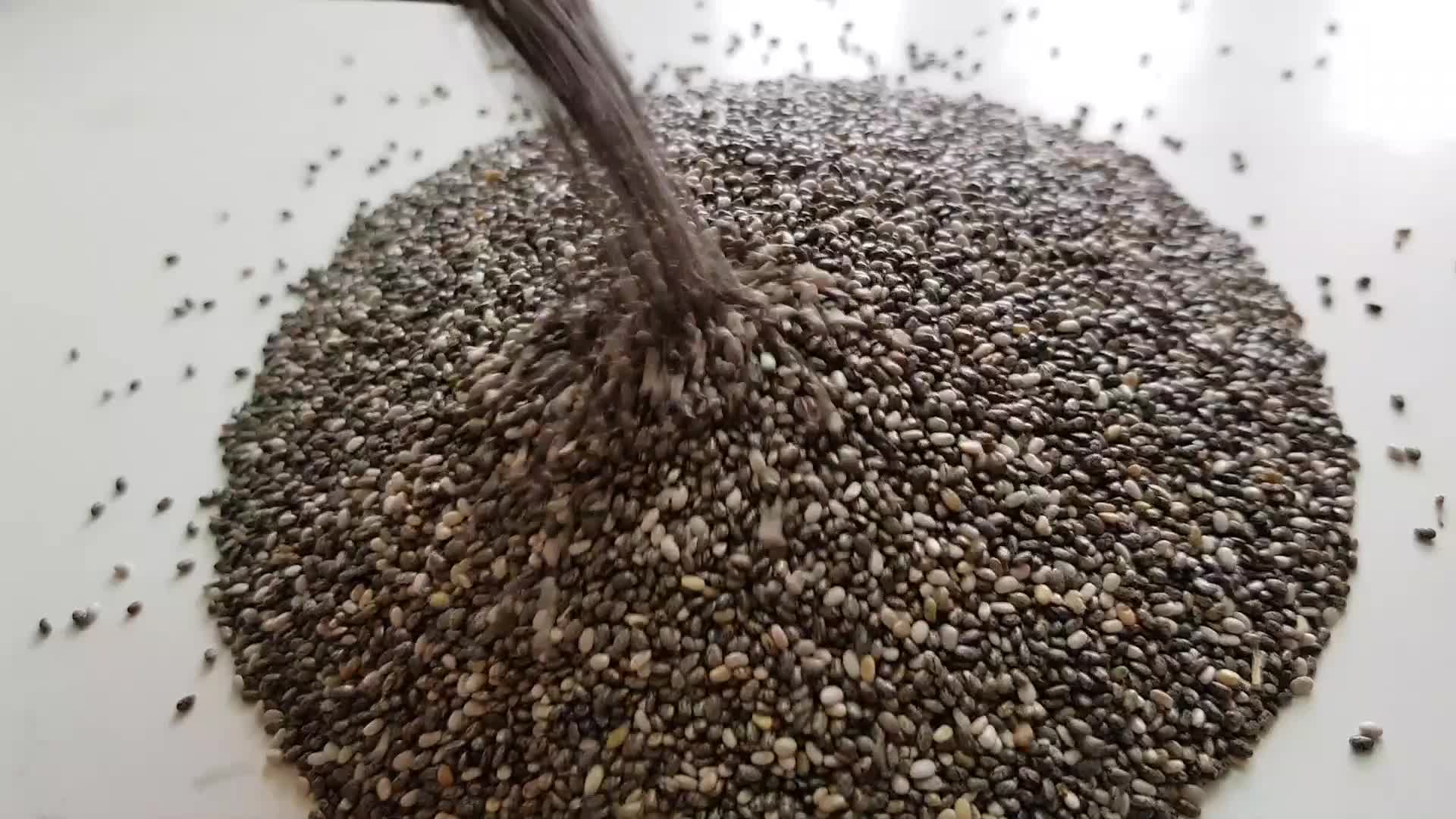 Cleaned Black Chia Seed Bulk Price Raw Wholesale Chia Seed Competitive Price Whatsapp +91