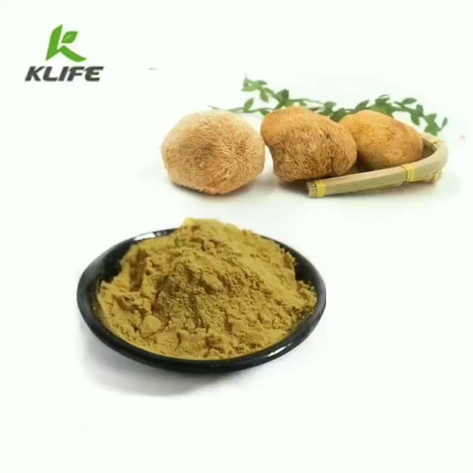 Health Benefits Lion's Mane Dual Mushroom Extract Powder Lions Mane
