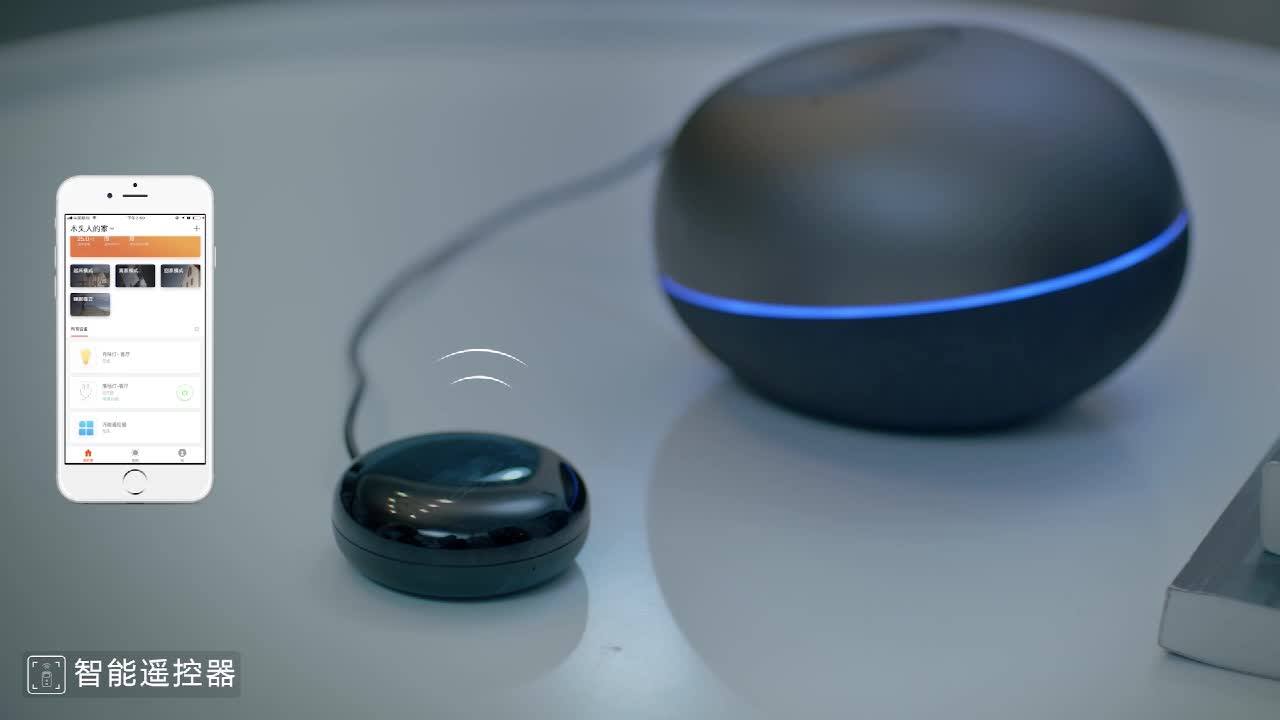 google home rf remote