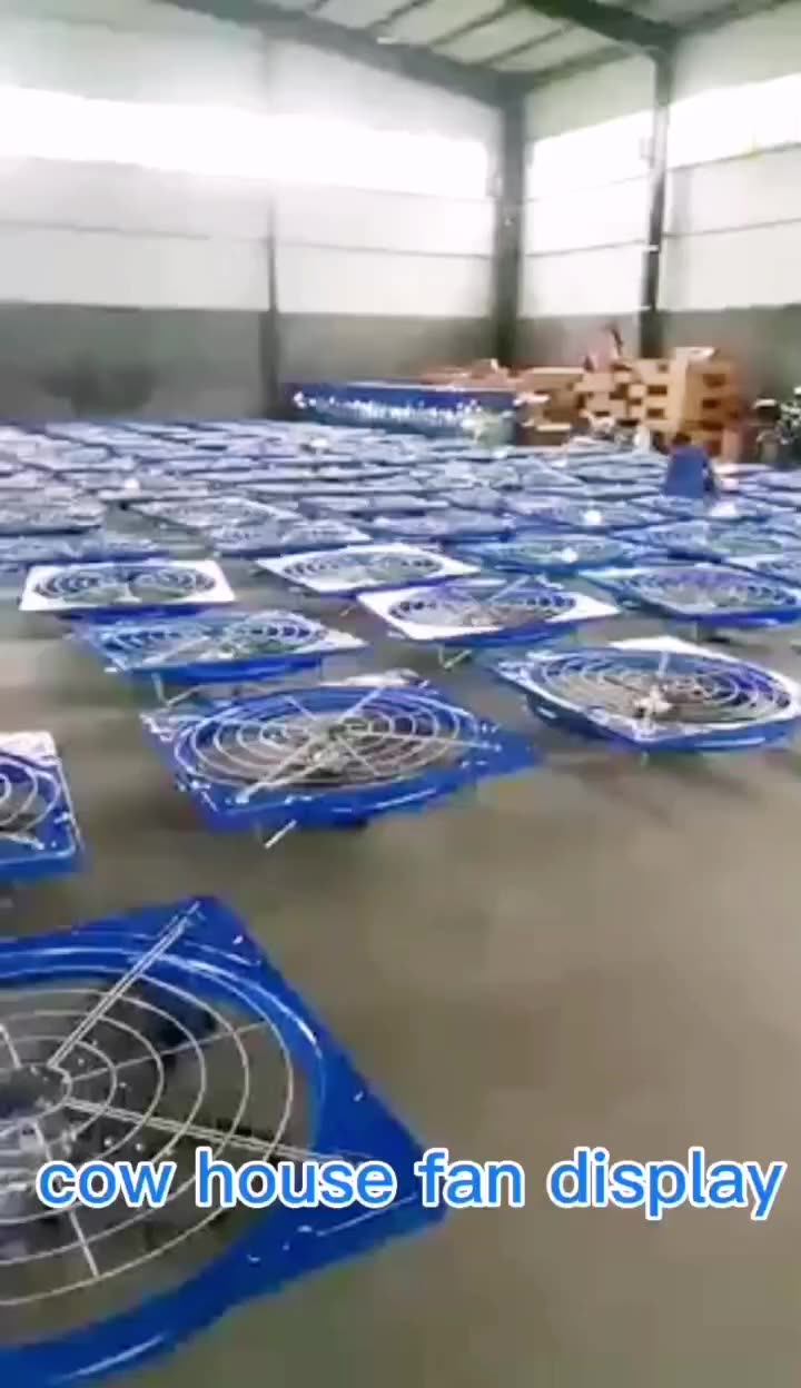 Ventilation Circulation Cooling Exhaust Fan For Cow/cattle Calf Calve