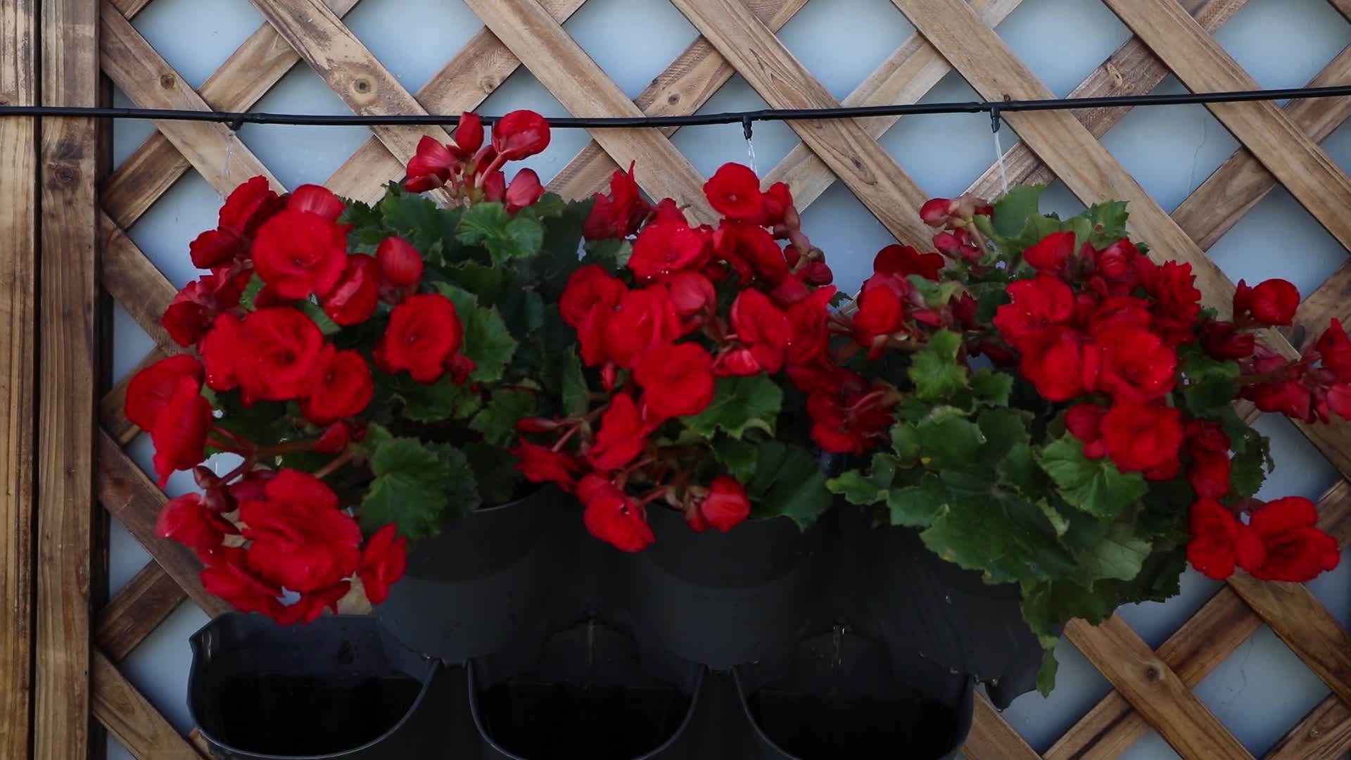 2 Cell Brick Red Self Watering Living Wall Outdoor Vertical Garden