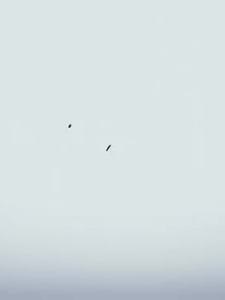 Qiu Zuo Technology electric mixer OES-20 digital display laboratory industrial strong mixer adjustable speed and timing