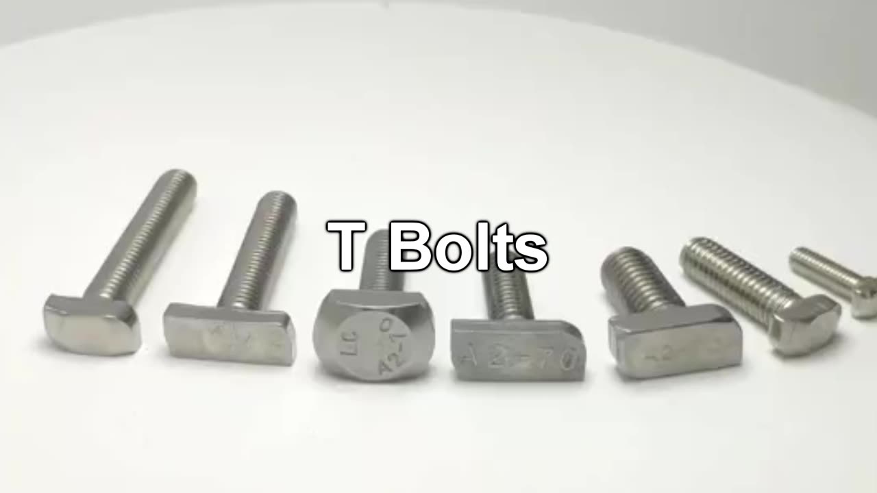 Din261 M6 M8 Tbolt T Head Bolt M5 Stainless Steel M 8x32 Fastenal Inox M8 M10 M10x30 For