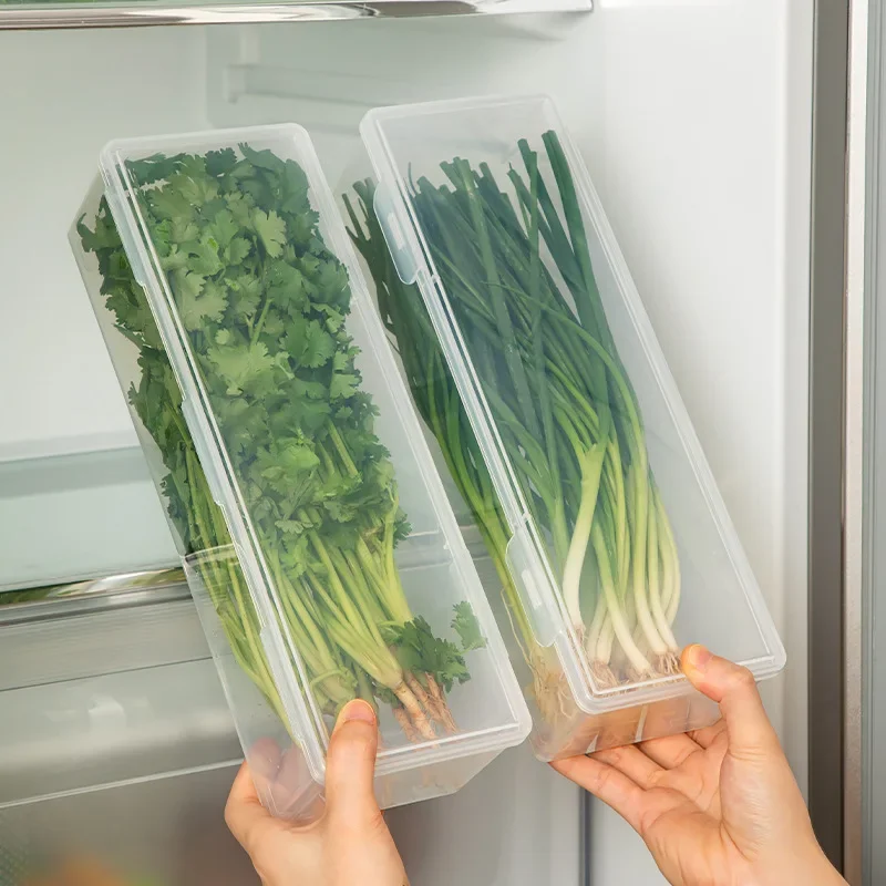 Coriander Scallion Fresh-keeping Box Refrigerator Storage Coriander Whole Root Fresh-keeping Artifact Food Grade Noodles and Eggs for Vegetable Preparation