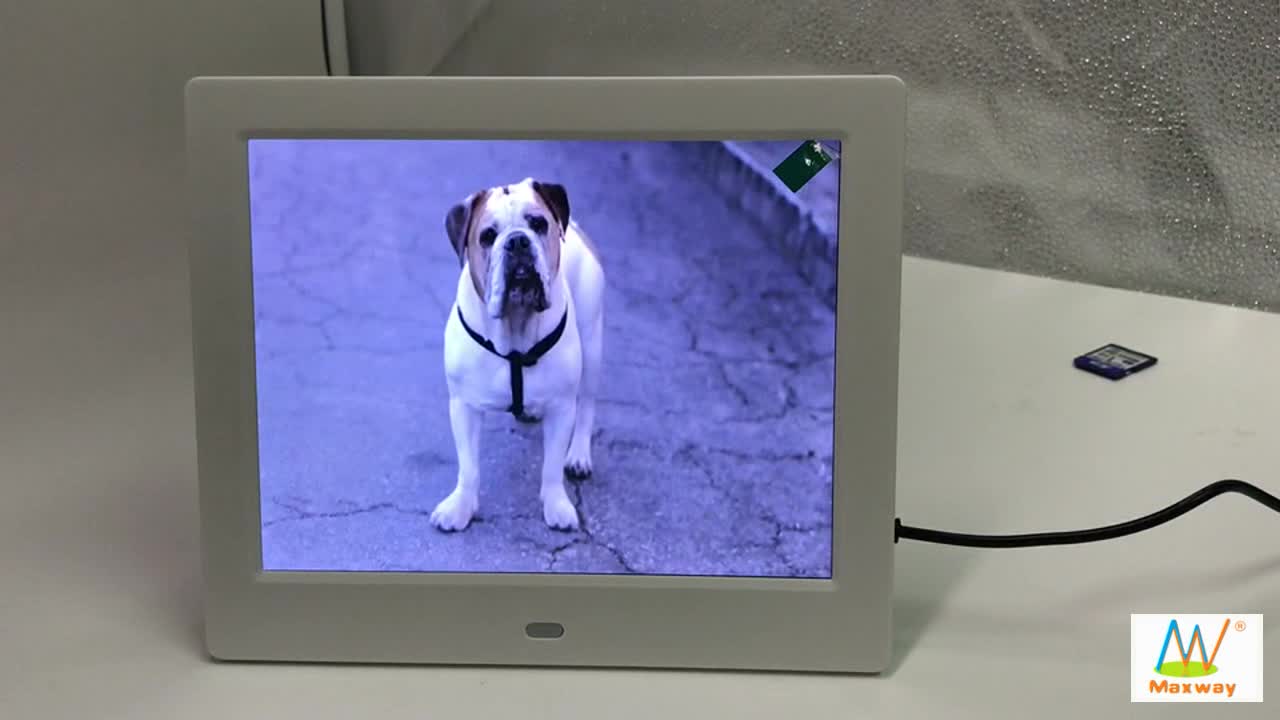 8inch Rohs Digital Photo Frame Picture Viewer Buy 8inch Rohs Digital