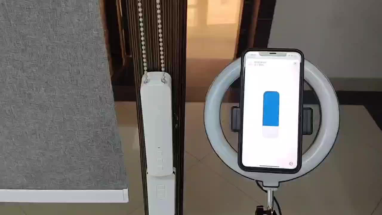 Zemismart Wifi Smart Roller Blind Driver Usb Solar Panel Charge Tuya Smart Life Alexa Google