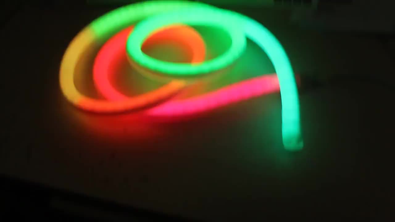 Dynamic Digital Led Neo Neon Flexible Strip Lights Tube 360 Degree 10