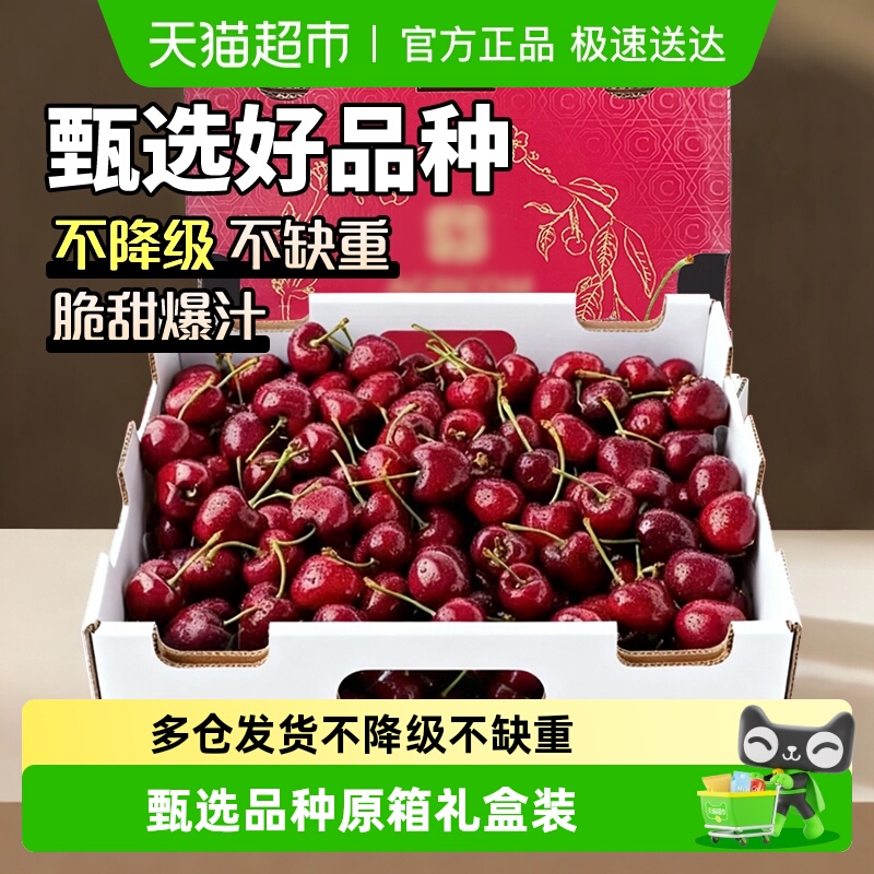 Pre-sale Chilean cherry gift box fresh fruit