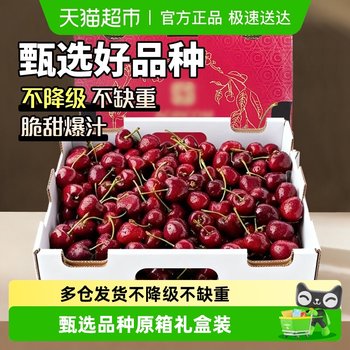 Pre-sale chilean cherry gift box fresh fruit