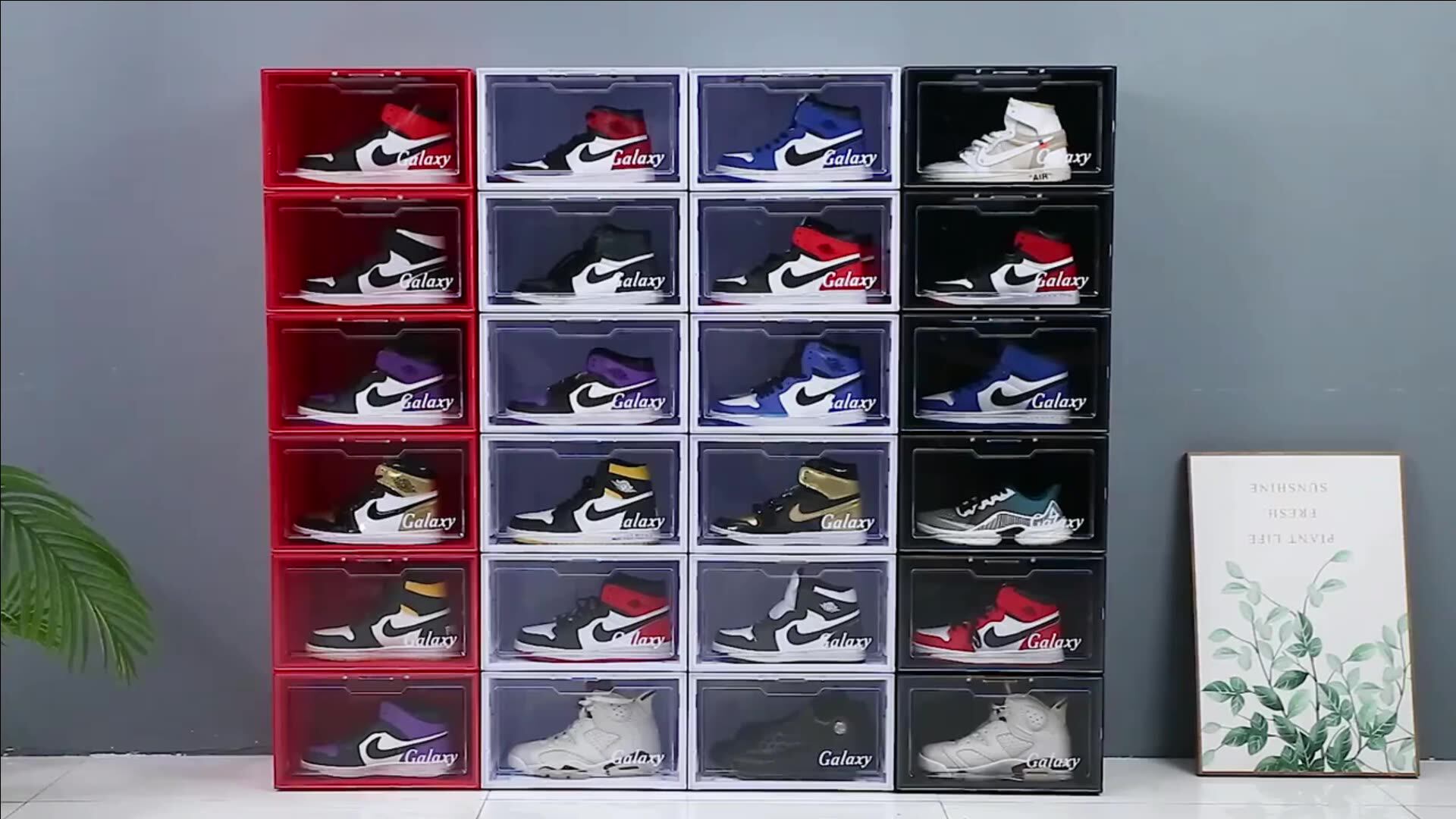 jordan shoe display case