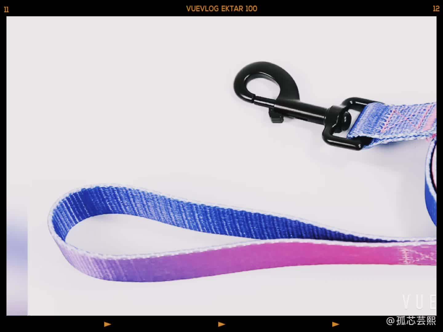 2019 Wholesale Dog Walking Night Reflective Dog Leash And Harness Buy Reflective Dog Leash And