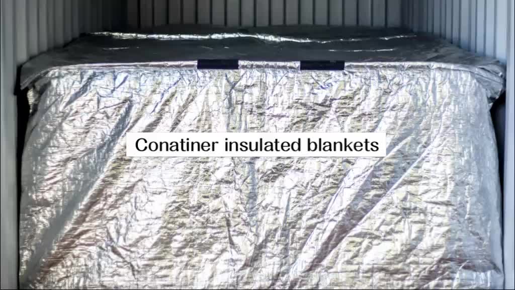 Eco Friendly Cold Chain Protection Shipping Container Cargo Insulation