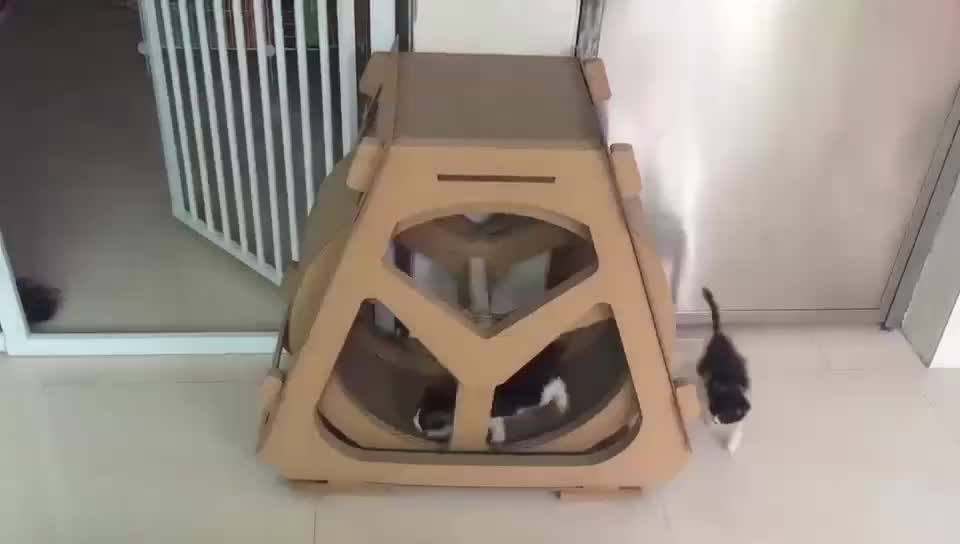 S Circulating Cardboard Cat Scratch Toy Wheel Shape Cat Scratcher Buy Circulating Cardboard