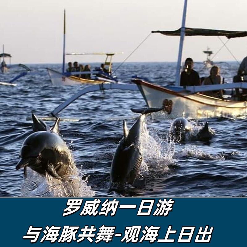 Lovina, Bali: Sunrise Dolphin Watching by Boat, Snorkeling and Swimming with Dolphins, One-Day Tour to Volcanic Hot Springs Lovina, Bali: Sunrise Dolphin Watching by Boat, Snorkeling and Swimming with Dolphins, One-Day Tour to Volcanic Hot Springs