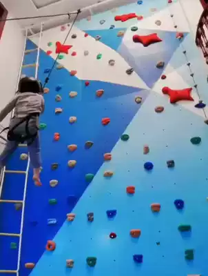 Rock climbing wall children's home indoor adult wooden rock climbing board children's sensory integration training Rock spot bouldering climbing equipment