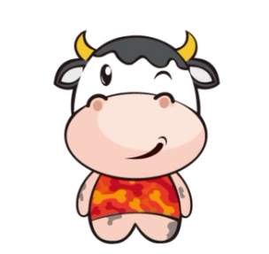 鑫瑞安防科技
