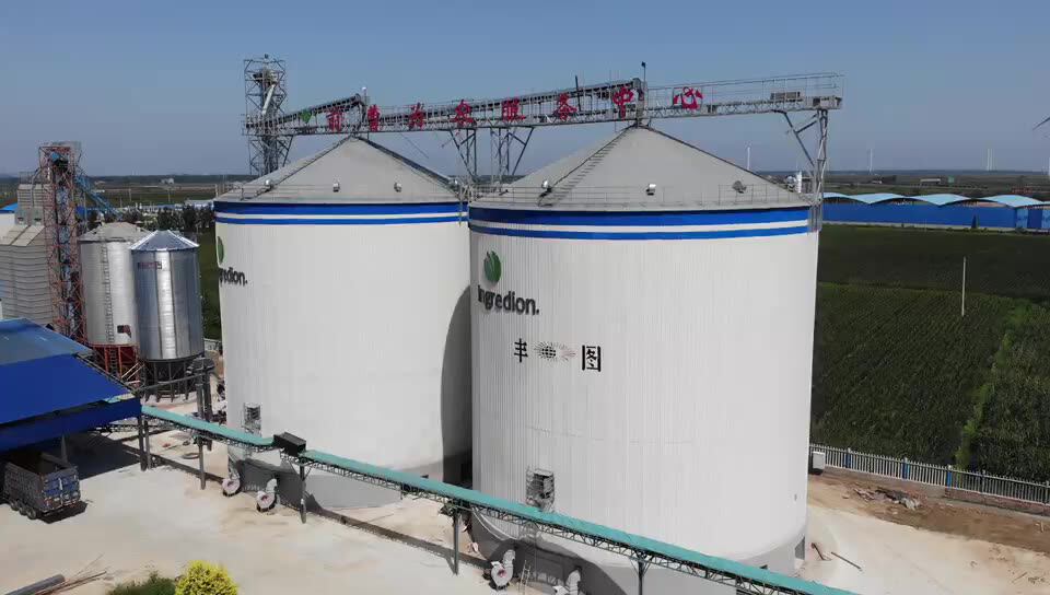 200t Flat Bottom Grain Of Silos Sell At Factory Price Farm Cereal