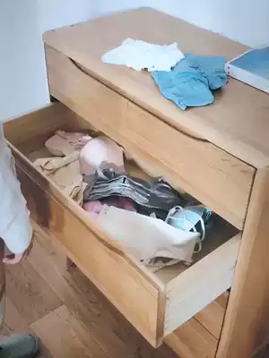 Underwear storage hanging bag Wardrobe storage bag finishing storage Shelf bag Wall hanging underwear bra storage