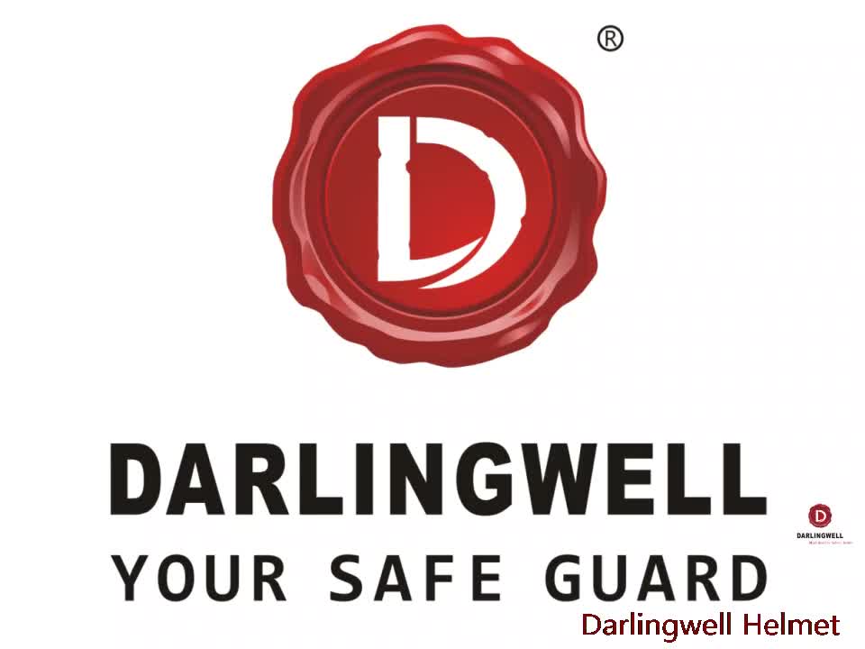 Darlingwell Good Quality Forestry Helmet Set And Forest Safety Helmet