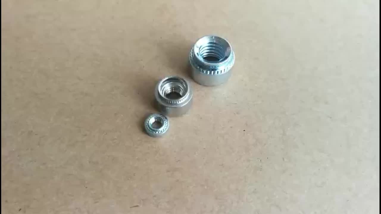 Oem Spray Painting Round Self Clinch Nuts For Sheet Meta Buy Stainless Steel Self Clinching