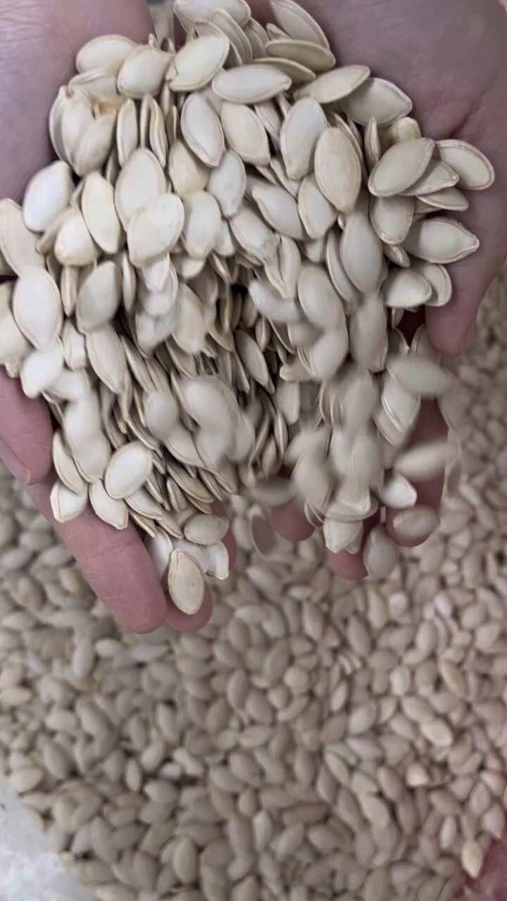 Семена экспорт