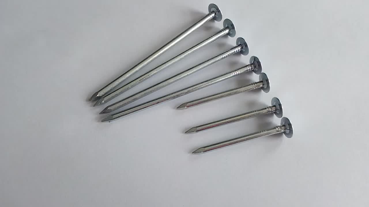 Steel Material Linoleum Nails Buy Clout Nails,Flat Head Clout Nails,3