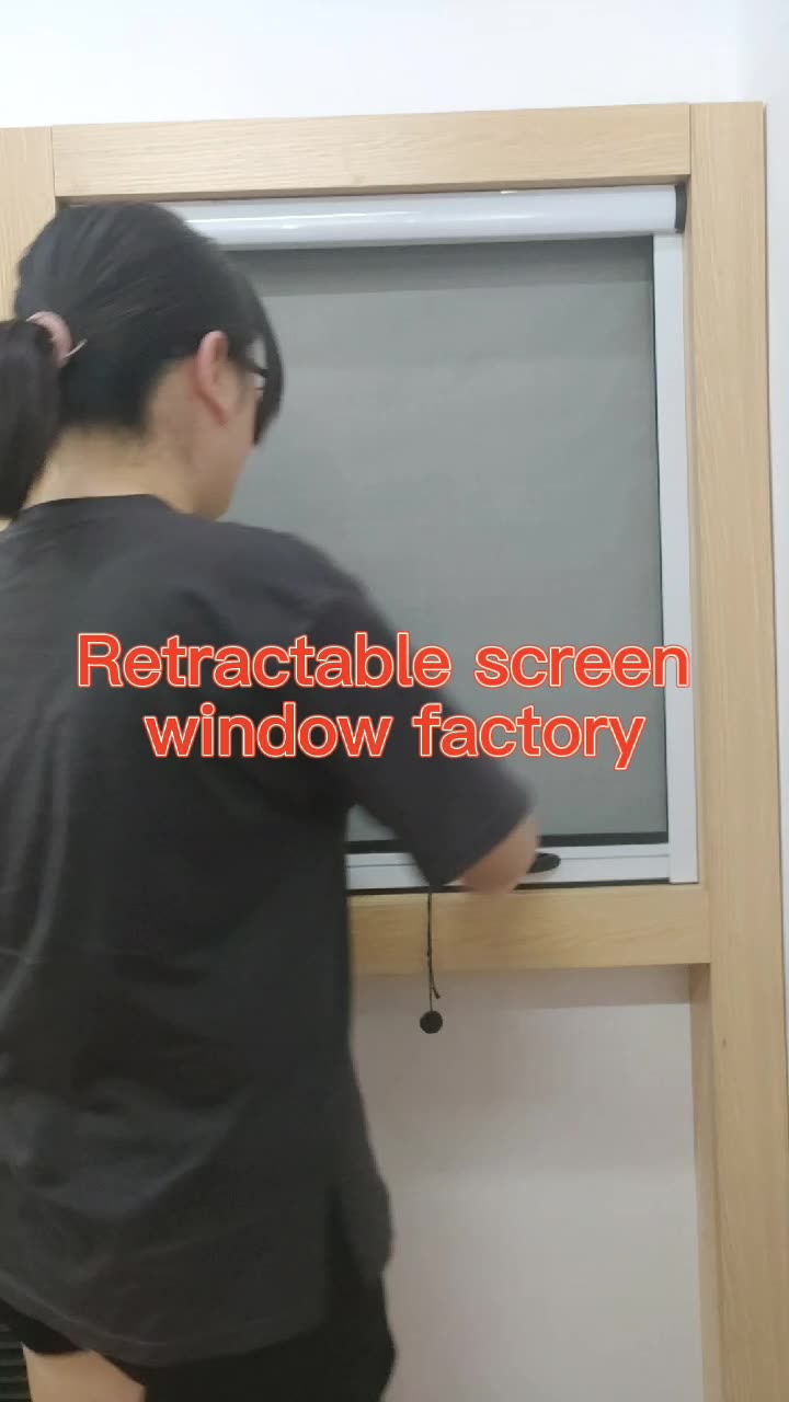 Retractable Sliding Wheels Roller Insect Mosquito Net Door Aluminum