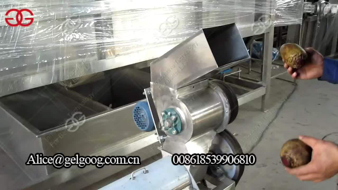 Industrial Ginger Juice Extractor Machine Commercial Carrot Juicer