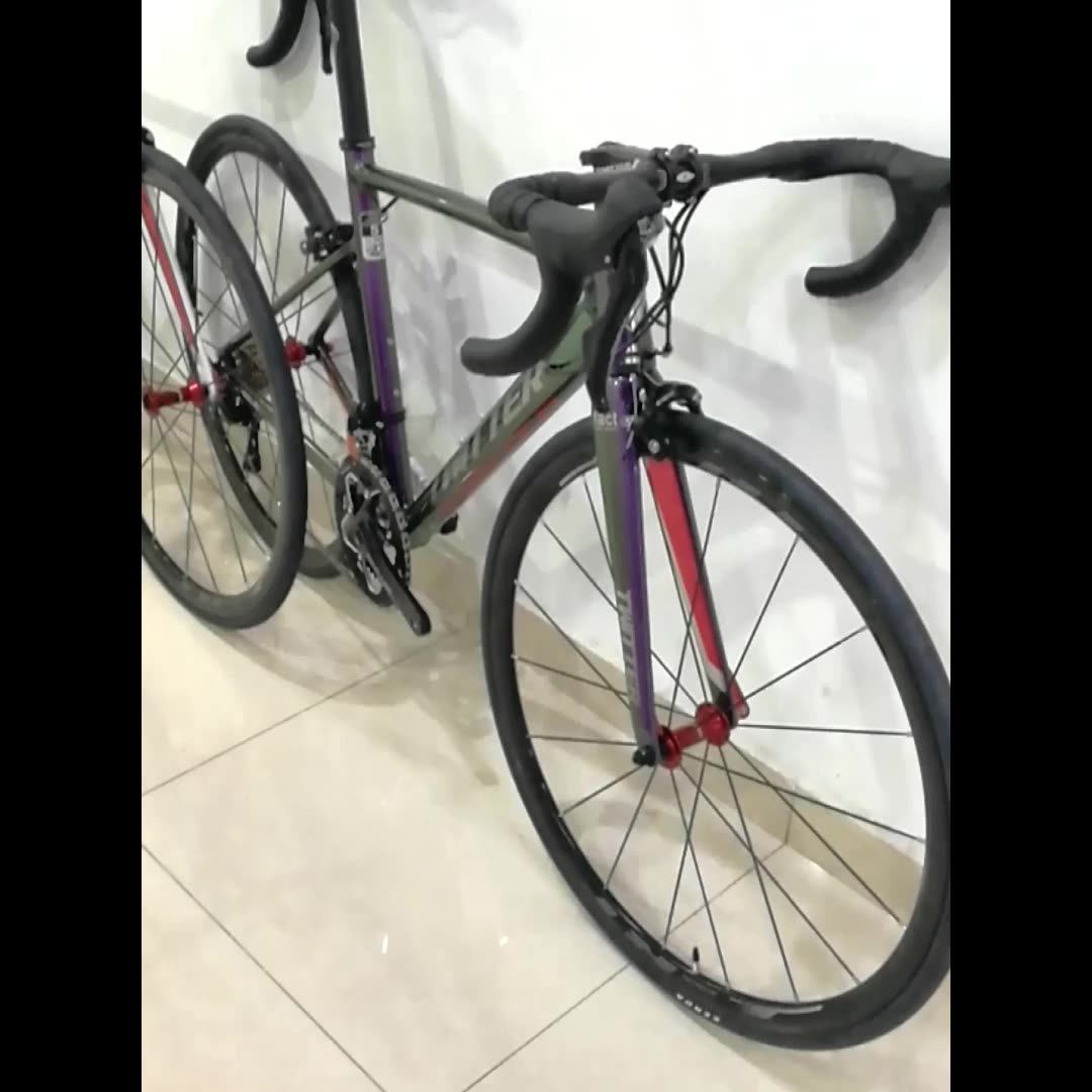 Twitter Smile 22 Speed Aluminium Alloy 