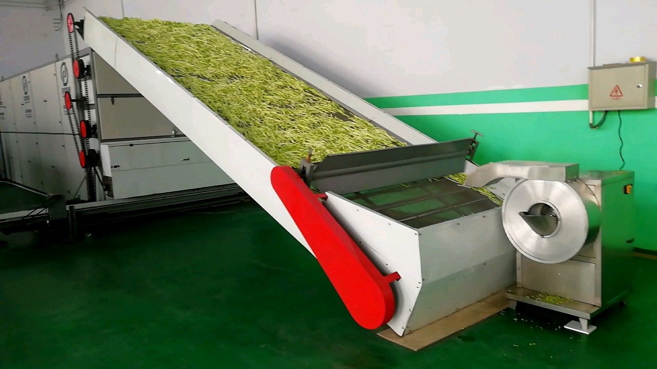 Easy Simple Handle Moringa Leaf Pasta Carrot Drying Machine Buy